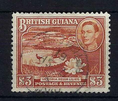Image of British Guiana/Guyana SG 319 FU British Commonwealth Stamp